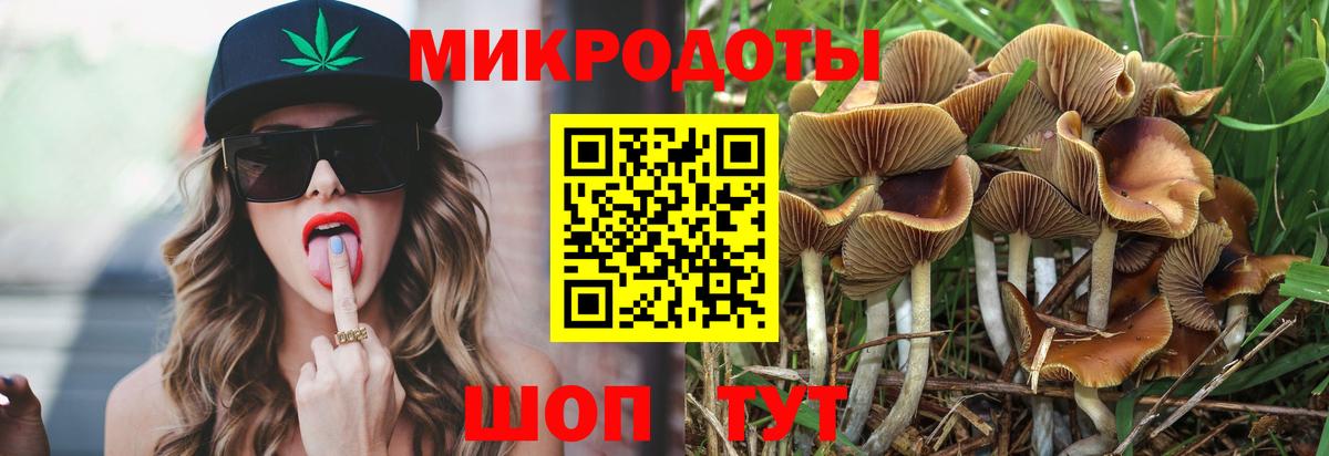 Псилоцибиновые грибы мицелий  Вход с VPN  Шарыпово 